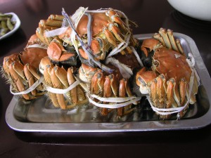 Hairy crabs from the Yangcheng Lake (photo taken in Suzhou)