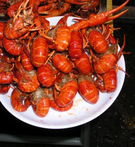 Grapplous crayfish in Hunan